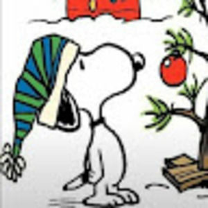 Meet your Posher, Bradxpert